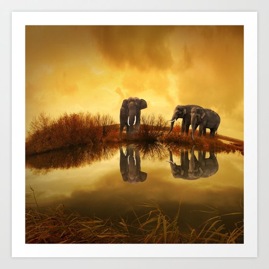Elephant 3 Art Print