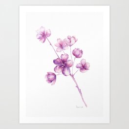 Cherry Blossoms - Purple Art Print