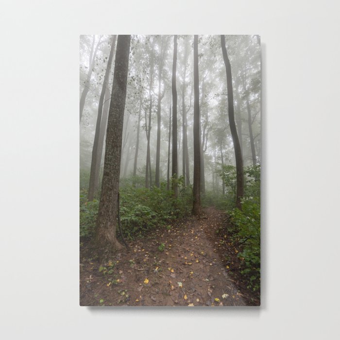Smoky Mountain Summer Forest VIII - National Park Nature Photography Metal Print