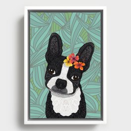 Tropical Boston Terrier Girl Framed Canvas