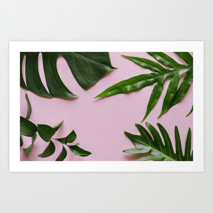 Tropical Palm Leaf Pink Background Art Print By Newburydesigns Society6