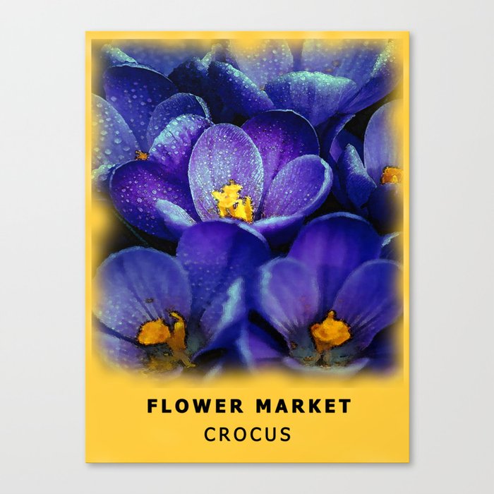 Purple Crocus Flower Market  Canvas Print