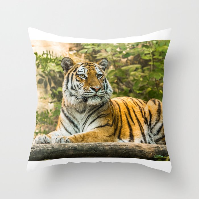 Tiger in the nature Throw Pillow