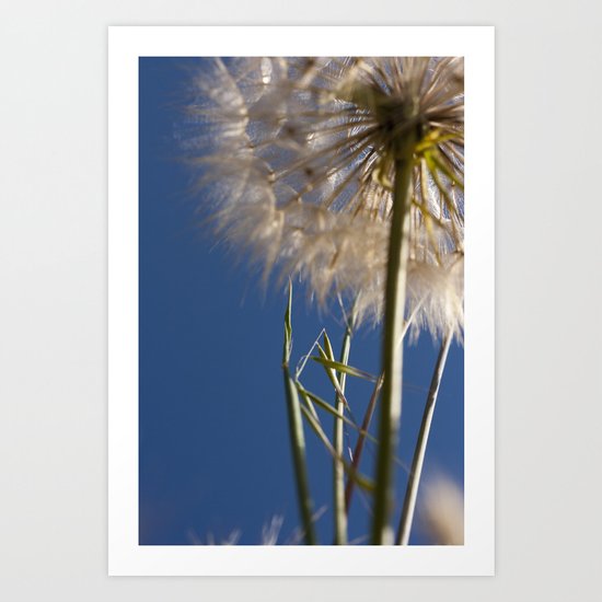 SPANISH SPRING I Art Print