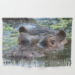 Hippo In The Water Wall Hanging