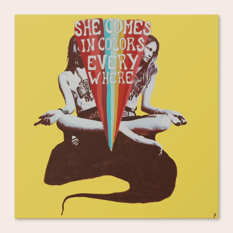 She S Like A Rainbow Canvas Print By Paige Elizabeth Warmington Society6 She S Like A Rainbow Canvas Print By Paige Elizabeth Warmington Society6