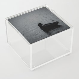 Lonely Duck Acrylic Box