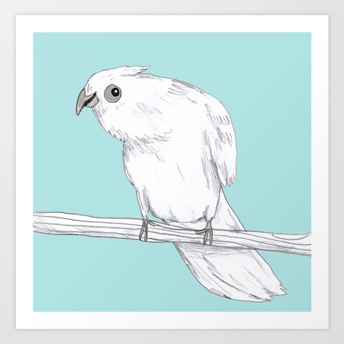 Bald-Eyed Cockatoo Art Print