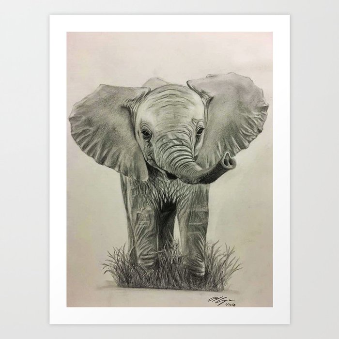 A4 sizes signed artwork BABY ELEPHANT art pencil drawing print A3 