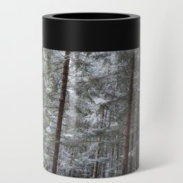 Snow in a Scottish Highlands Pine Forest Can Cooler