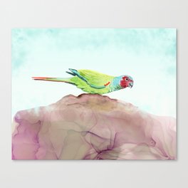 Parrot Painting - Pfrimer's Parakeet Tropical Bird Print - Nature Art for Bird Lovers  Canvas Print
