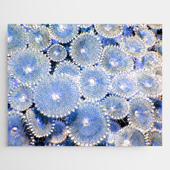 Protopalythoa Coral 6 Jigsaw Puzzle