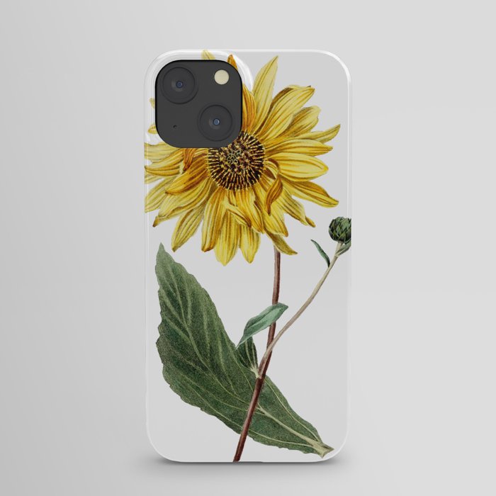 Vintage sunflower drawing iPhone Case
