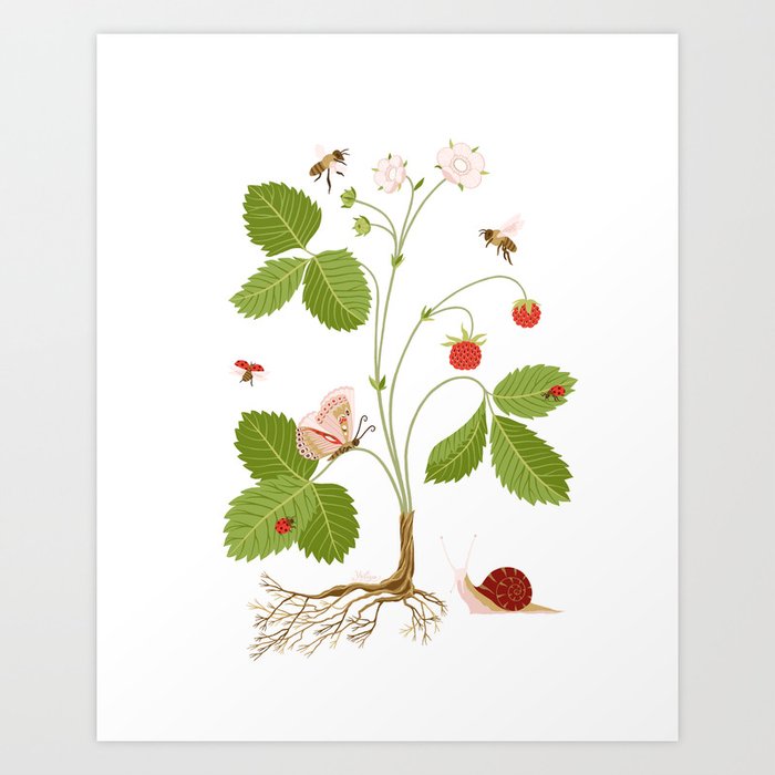 Wild Strawberries Art Print