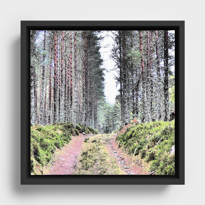 A Winter's Walk in I Art and Afterglow Framed Canvas