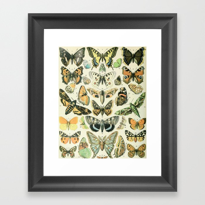 Moth and Butterfly Art, Vintage Wall Decor, Cute Cottagecore Design, Nature Paintings  - Butterfly Framed Art Print