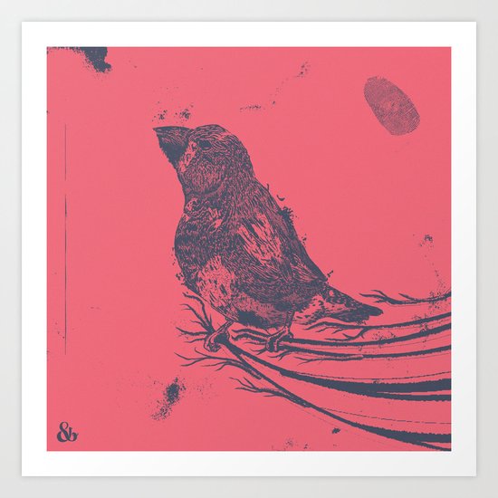 Finch Origin of Species Art Print