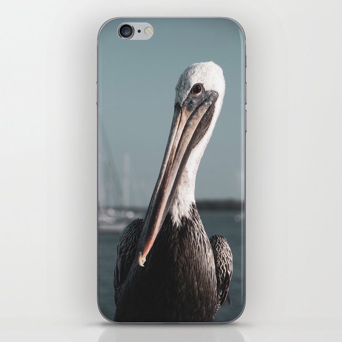 Bob The Pelican 3 Colorized Animal / Wildlife Photograph iPhone Skin and More
