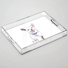 Chihuahua Print Acrylic Tray