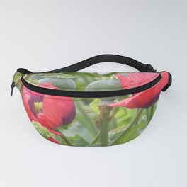 Poppies Fanny Pack