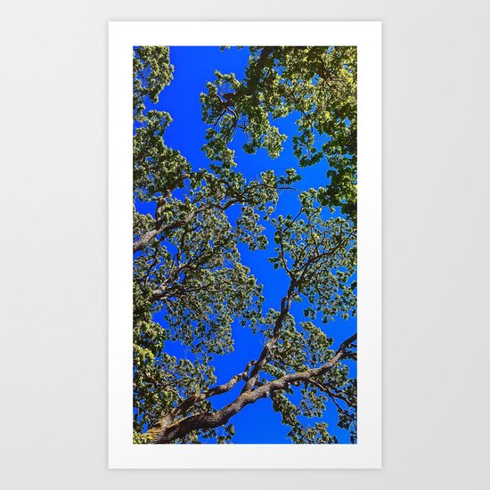 Oak, Mythological Tree Of Life Art Print