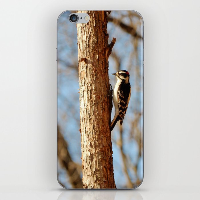 Downey Woodpecker iPhone Skin
