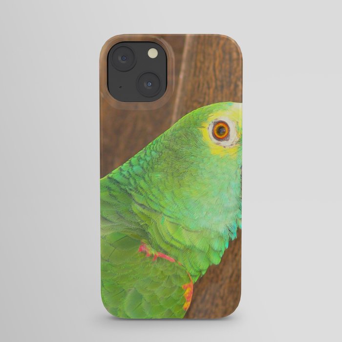 Brazil Photography - Beautiful Green Parrot Sitting In A Tree iPhone Case