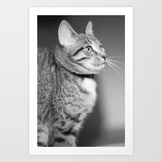 Cat Art Print