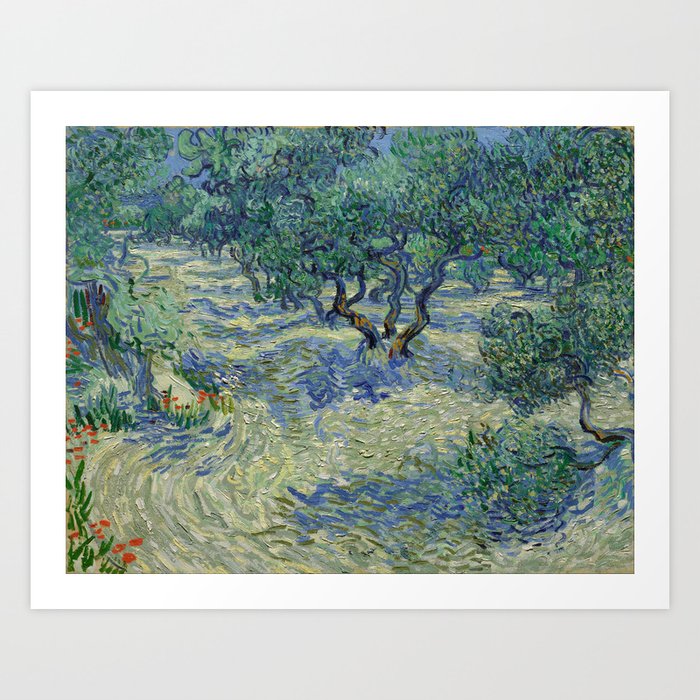 Vincent Van Gogh Olive Orchard Art Print