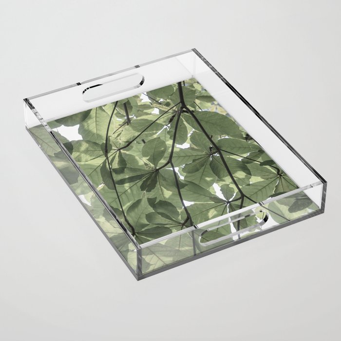 Sage green botanical art print - soft green leaves - nature and travel photography Acrylic Tray