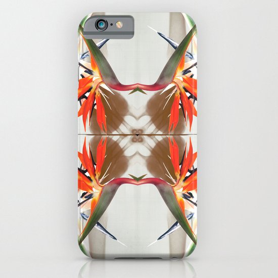 x-rays and mysterious Sterlizia iPhone & iPod Case