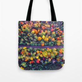 The Autumn Forest (Color) Tote Bag
