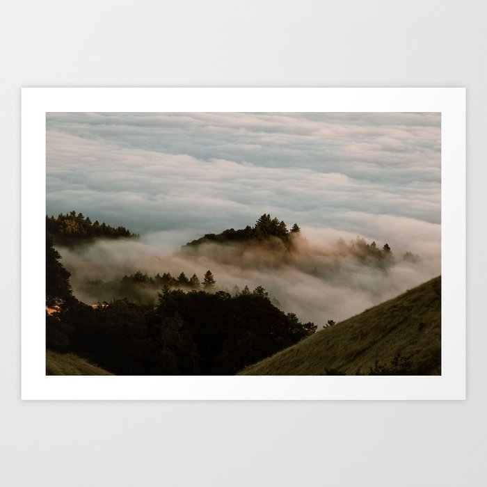 Fog on Mount Tamalpais IV Art Print