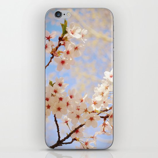 Cherry Blossoms iPhone & iPod Skin
