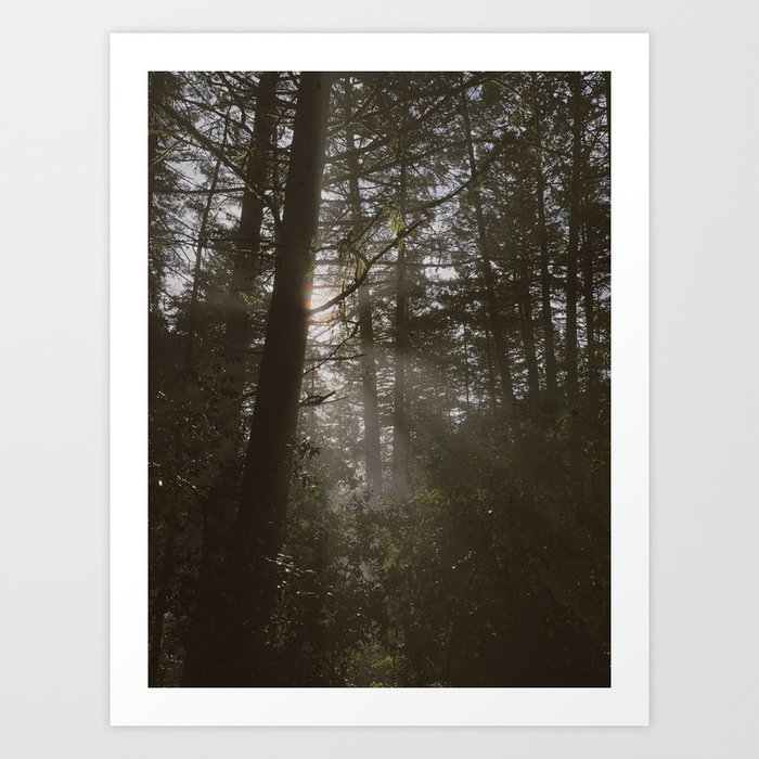 every time you call me crazy, i get more crazy, what about that? / into the forest iii Art Print