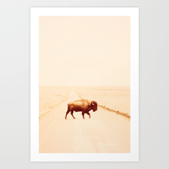 Buffalo Road x Wild West Photography Art Print