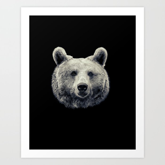 Bear Portrait Art Print