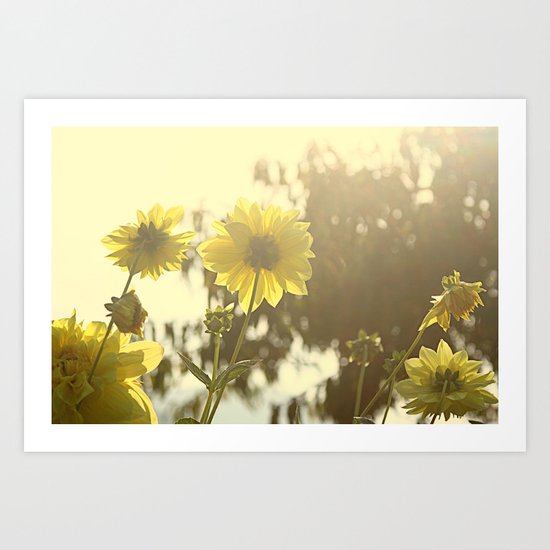 Yellow Sunshine Art Print