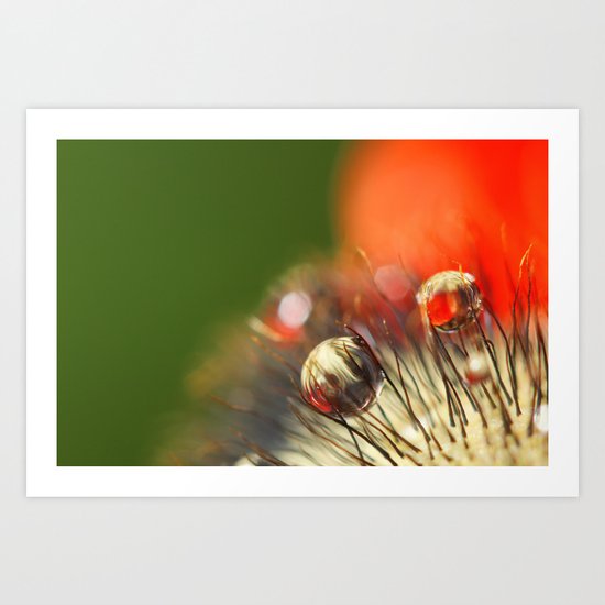 Poppy Drop Abstract Art Print