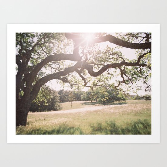Santa Barbara Art Print