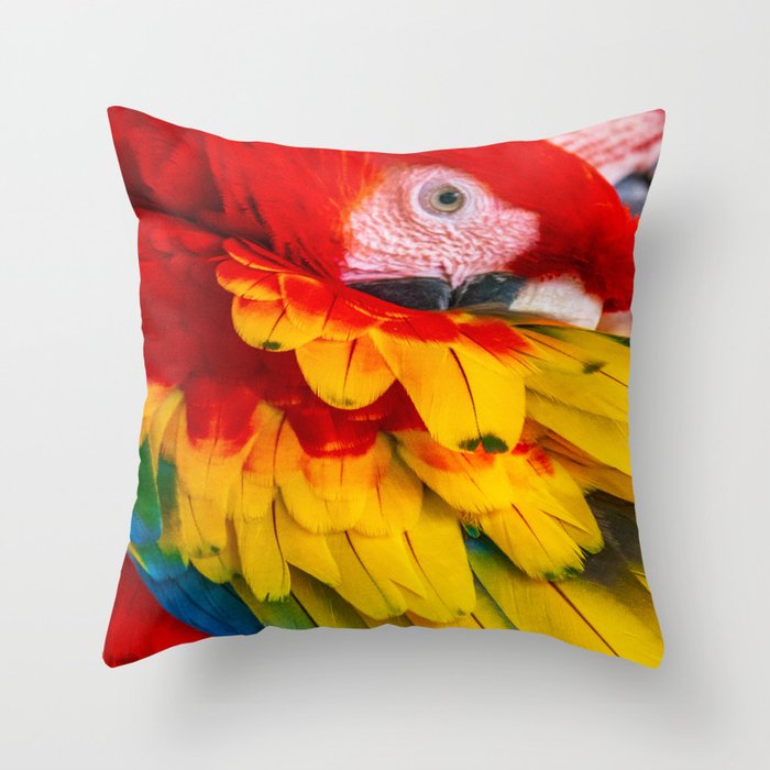 Parrot Bird Colorful Feathers Wildlife Tropical Birds Aviary Throw Pillow