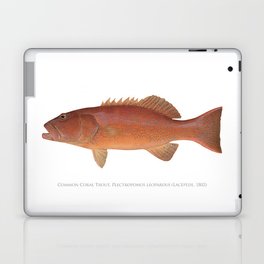 Common Coral Trout Laptop & iPad Skin