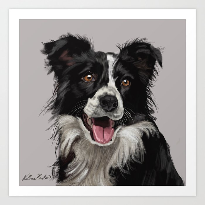 Border collie 2025 framed prints