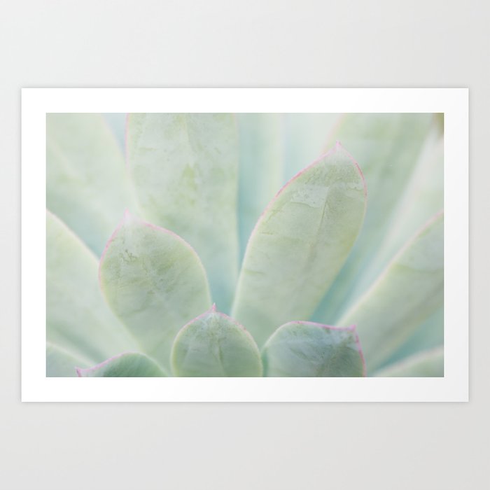 Delineated Art Print
