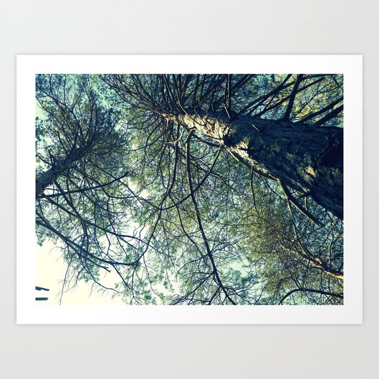 Reach for the Sky Art Print
