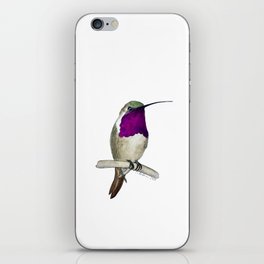 Lucifer Hummingbird iPhone Skin