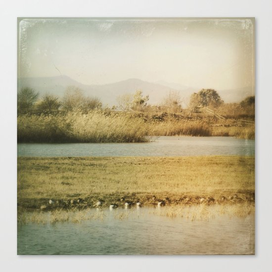 Natural world Canvas Print