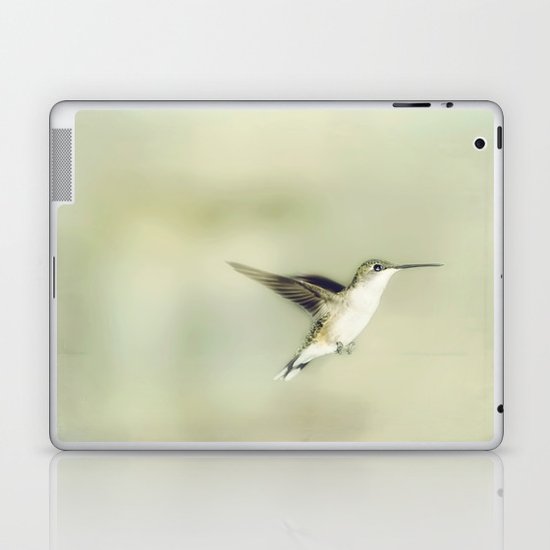 Mid flight Laptop & iPad Skin