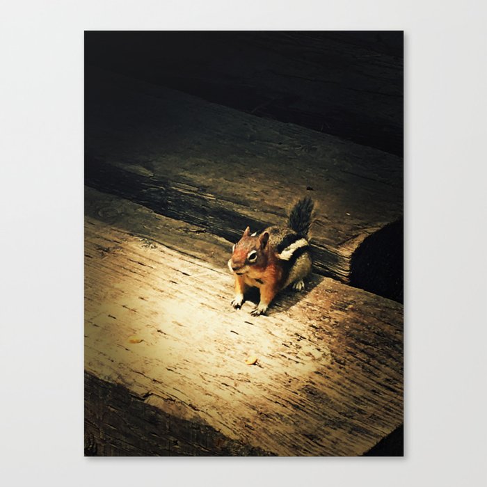 Cute Critter Canvas Print