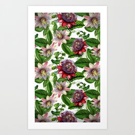 Vintage & Shabby Chic- Retro Passiflora Garden Flower Pattern Art Print